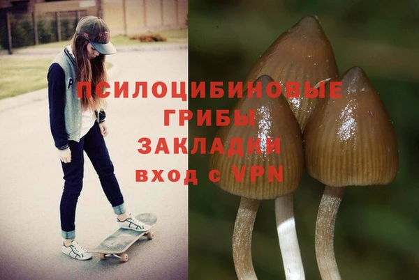 PSILOCYBIN Вяземский