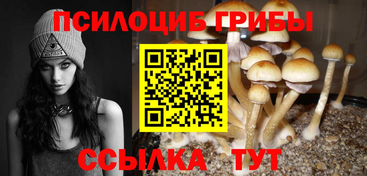 что такое   Псилоцибиновые грибы Magic Shrooms  Вход с VPN  Гурьевск 