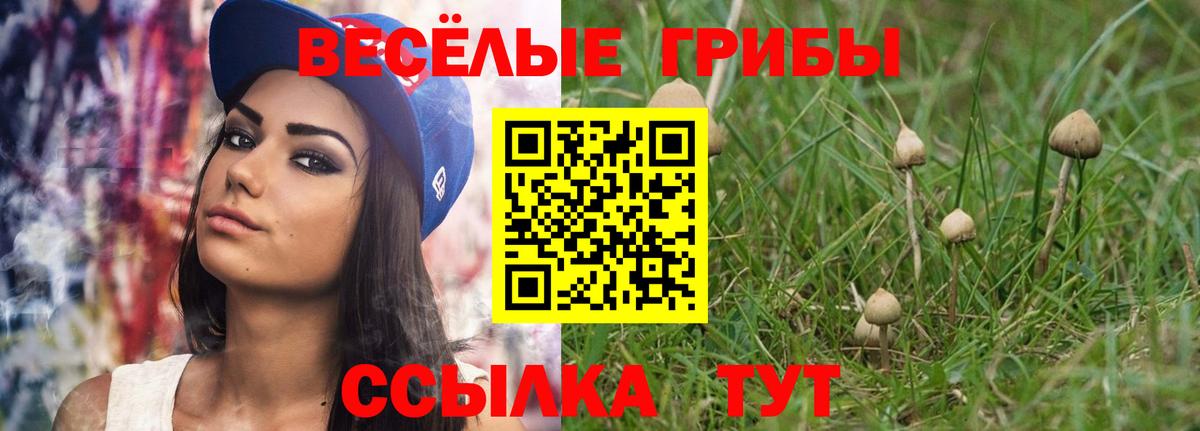 Галлюциногенные грибы Psilocybine cubensis Гурьевск
