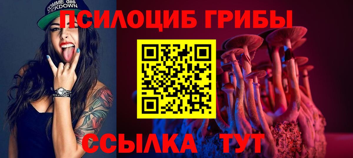 Псилоцибиновые грибы Psilocybine cubensis  где продают   Гурьевск 